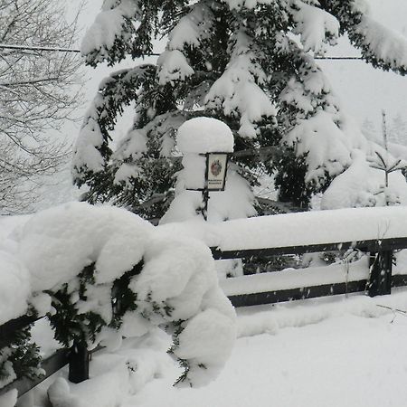 Hotel Zum Schneekopf "Garni" Gehlberg ภายนอก รูปภาพ