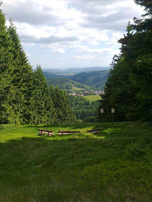 Hotel Zum Schneekopf "Garni" Gehlberg ภายนอก รูปภาพ