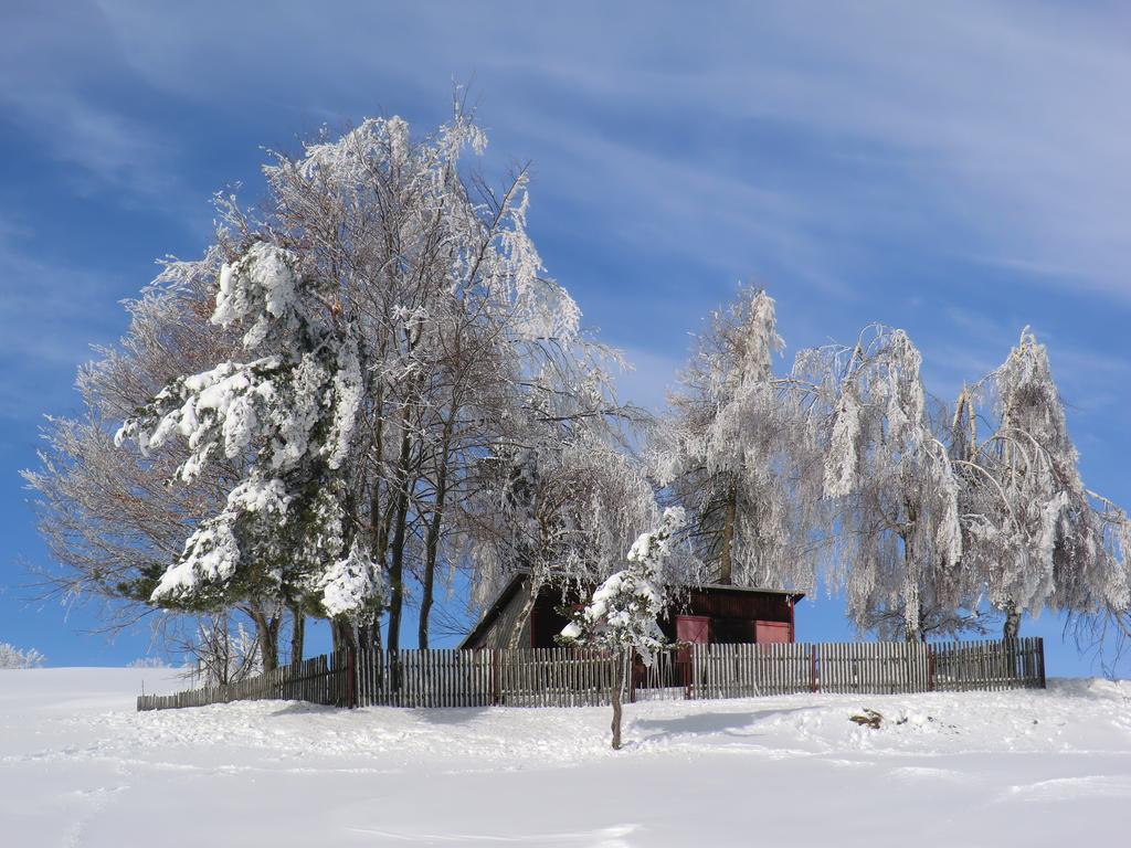 Hotel Zum Schneekopf "Garni" Gehlberg ภายนอก รูปภาพ